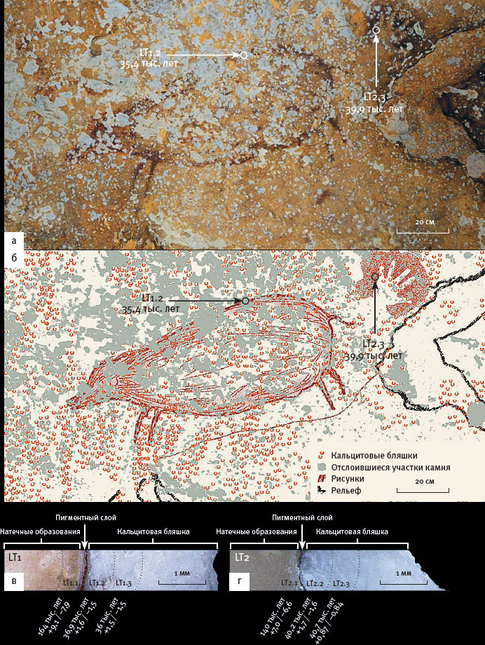 Иллюстрация к книге — Эволюция человека. Книга 3. Кости, гены и культура [i_108.jpg]