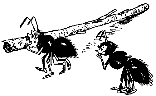 Иллюстрация к книге — Баранкин, будь человеком!. Повесть-сказка [pic_24.jpg]