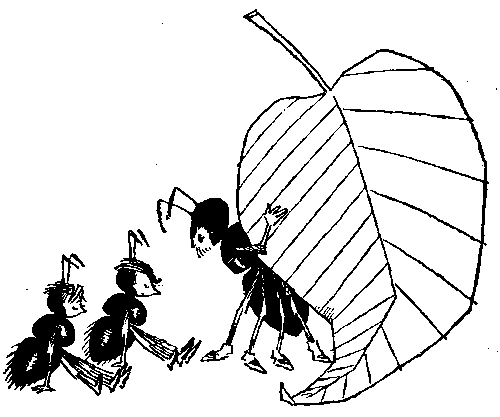 Иллюстрация к книге — Баранкин, будь человеком!. Повесть-сказка [pic_25.jpg]