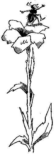 Иллюстрация к книге — Баранкин, будь человеком!. Повесть-сказка [pic_26.jpg]