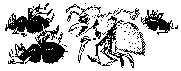 Иллюстрация к книге — Баранкин, будь человеком!. Повесть-сказка [pic_27.jpg]