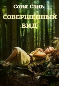 Книга Совершенный вид