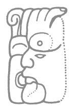 Иллюстрация к книге — Разгадка кода майя: как ученые расшифровали письменность древней цивилизации [i_016.jpg]