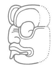 Иллюстрация к книге — Разгадка кода майя: как ученые расшифровали письменность древней цивилизации [i_050.jpg]