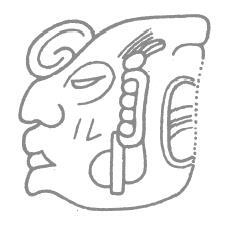 Иллюстрация к книге — Разгадка кода майя: как ученые расшифровали письменность древней цивилизации [i_057.jpg]