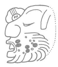 Иллюстрация к книге — Разгадка кода майя: как ученые расшифровали письменность древней цивилизации [i_064.jpg]