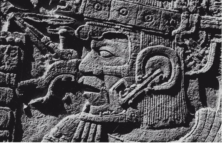 Иллюстрация к книге — Разгадка кода майя: как ученые расшифровали письменность древней цивилизации [i_101.jpg]