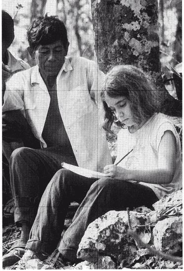 Иллюстрация к книге — Разгадка кода майя: как ученые расшифровали письменность древней цивилизации [i_132.jpg]