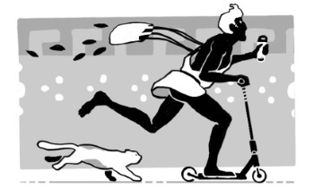 Иллюстрация к книге — Ахилл не носил одноразовых бахил. Понятное руководство по экологичному образу жизни [i_205.jpg]