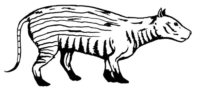 Иллюстрация к книге — Палеонтология антрополога. Том 3. Кайнозой [i_012.jpg]