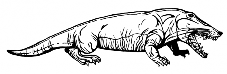 Иллюстрация к книге — Палеонтология антрополога. Том 3. Кайнозой [i_014.jpg]