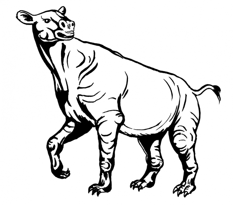 Иллюстрация к книге — Палеонтология антрополога. Том 3. Кайнозой [i_021.jpg]