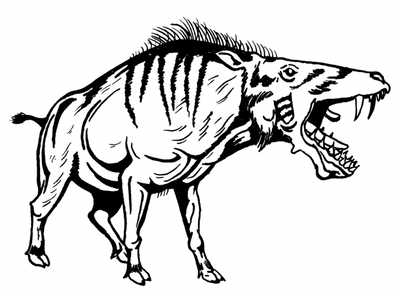 Иллюстрация к книге — Палеонтология антрополога. Том 3. Кайнозой [i_022.jpg]