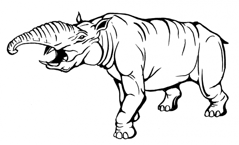 Иллюстрация к книге — Палеонтология антрополога. Том 3. Кайнозой [i_024.jpg]