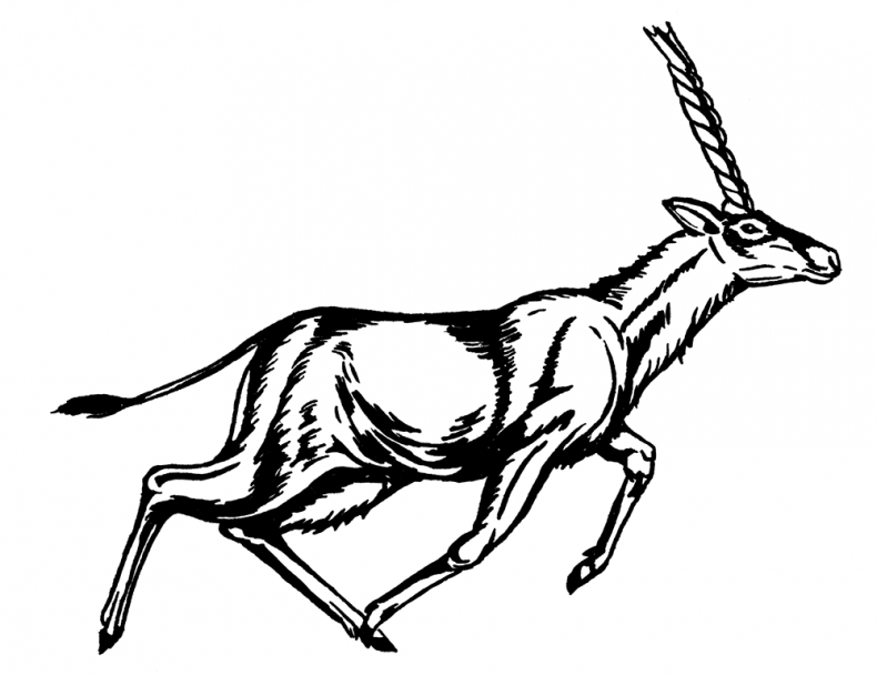 Иллюстрация к книге — Палеонтология антрополога. Том 3. Кайнозой [i_030.jpg]