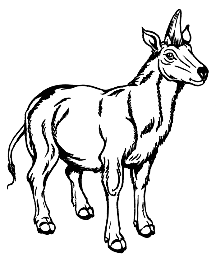 Иллюстрация к книге — Палеонтология антрополога. Том 3. Кайнозой [i_031.jpg]