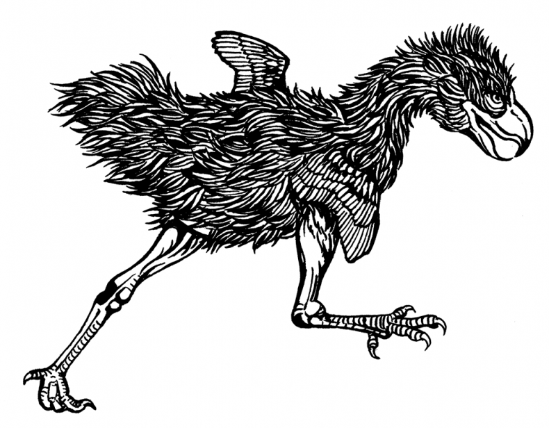 Иллюстрация к книге — Палеонтология антрополога. Том 3. Кайнозой [i_038.jpg]