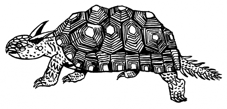 Иллюстрация к книге — Палеонтология антрополога. Том 3. Кайнозой [i_047.jpg]