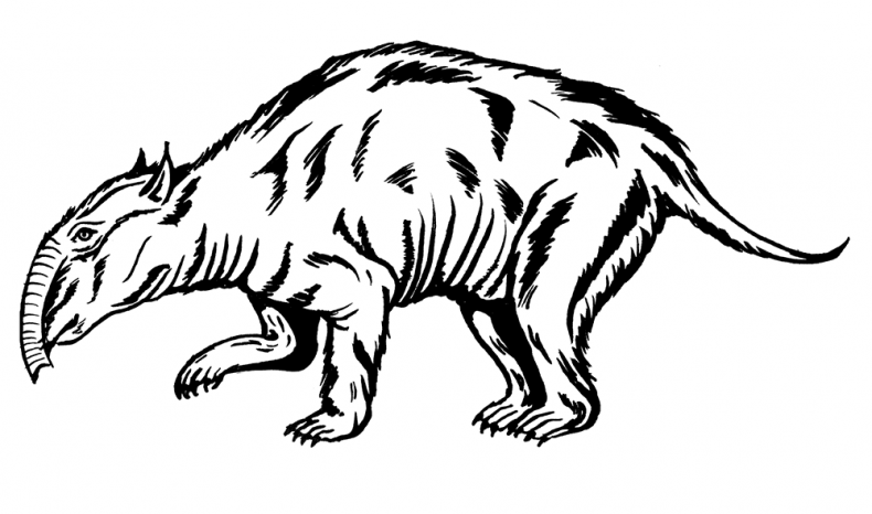 Иллюстрация к книге — Палеонтология антрополога. Том 3. Кайнозой [i_048.jpg]