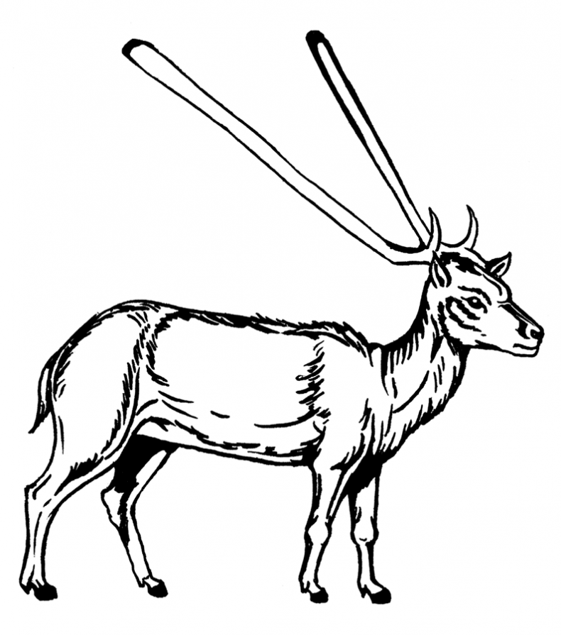 Иллюстрация к книге — Палеонтология антрополога. Том 3. Кайнозой [i_053.jpg]