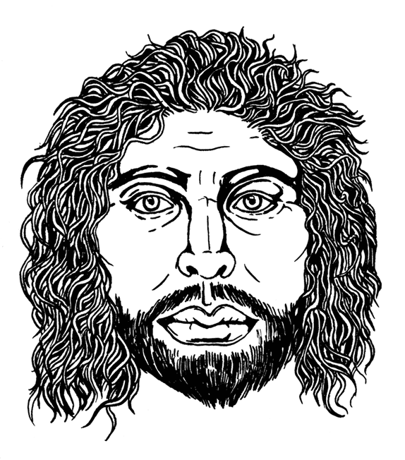 Иллюстрация к книге — Палеонтология антрополога. Том 3. Кайнозой [i_057.jpg]