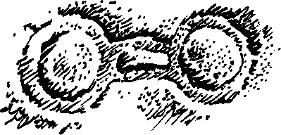 Иллюстрация к книге — Конец Атлантиды [pict_012.jpg]