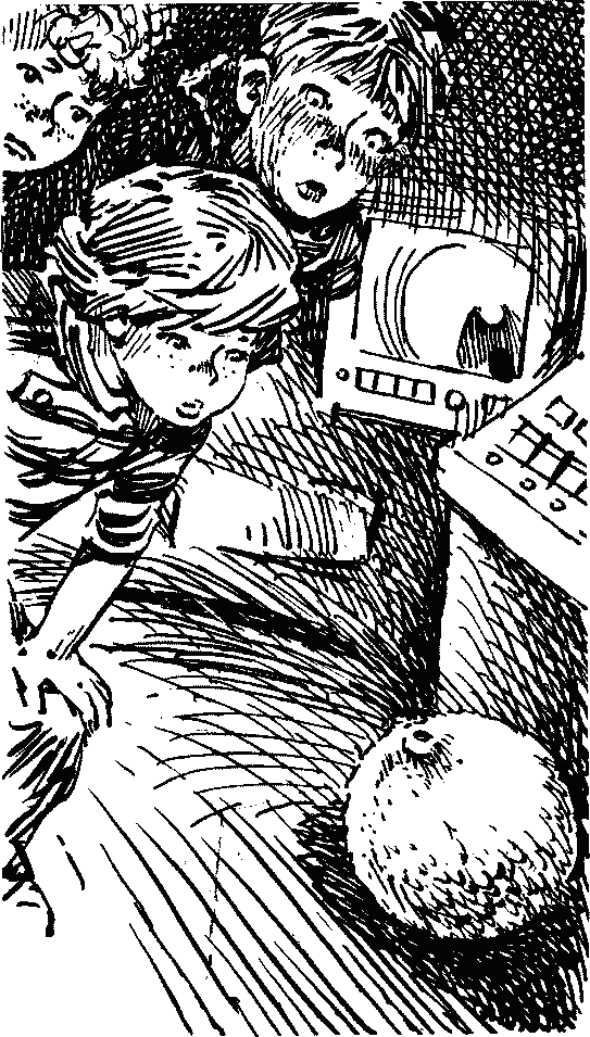 Иллюстрация к книге — Конец Атлантиды [pict_027.jpg]