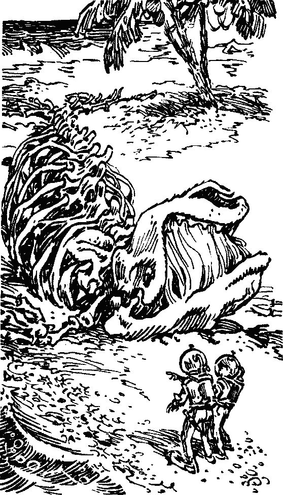 Иллюстрация к книге — Конец Атлантиды [pict_054.jpg]