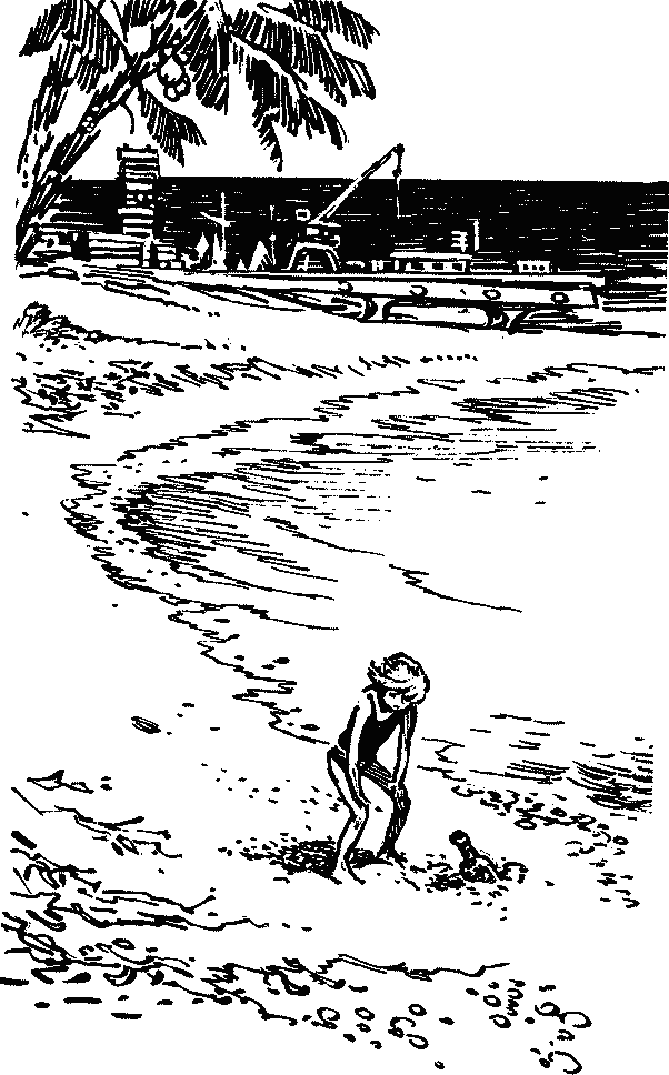 Иллюстрация к книге — Конец Атлантиды [pict_062.jpg]