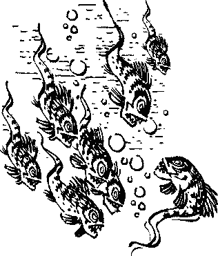 Иллюстрация к книге — Конец Атлантиды [pict_094.jpg]