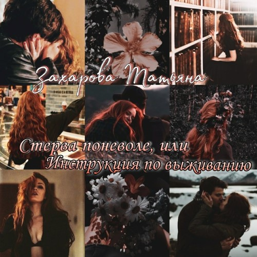 Иллюстрация к книге — Стерва поневоле, или Инструкция по выживанию [brvwqvjnklk.jpg]