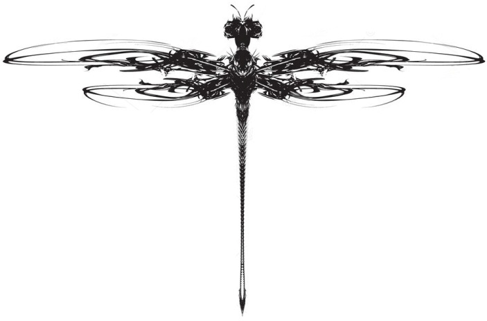 Иллюстрация к книге — Либеллофобия [img_24.jpg]