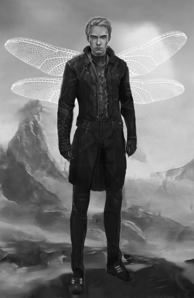 Иллюстрация к книге — Либеллофобия [img_4.jpg]