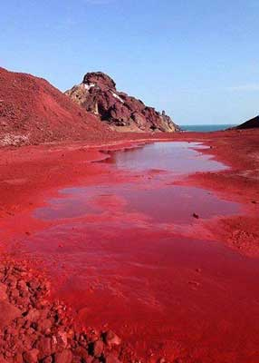 Иллюстрация к книге — Стальная империя-1 [i_050.jpg]