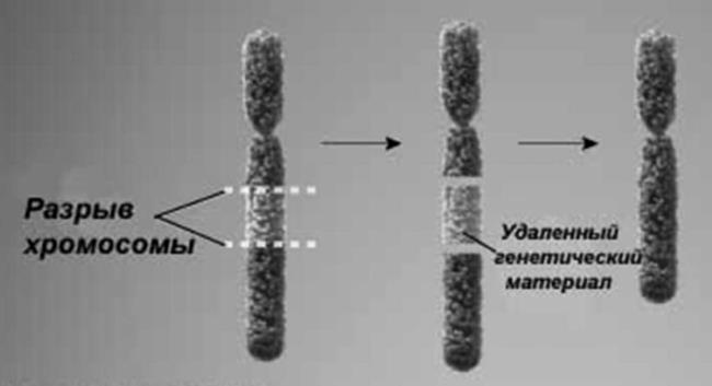 Иллюстрация к книге — Генетика на пальцах [i_018.jpg]