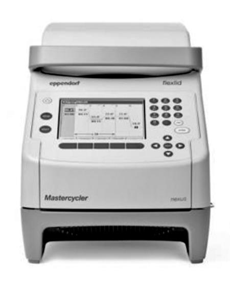 Иллюстрация к книге — Генетика на пальцах [i_023.jpg]