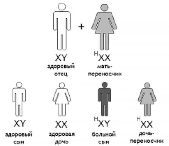 Иллюстрация к книге — Генетика на пальцах [i_037.jpg]