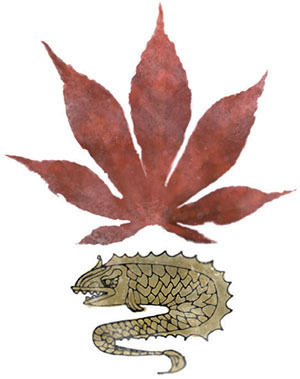 Иллюстрация к книге — Затерянный город [i_005.jpg]