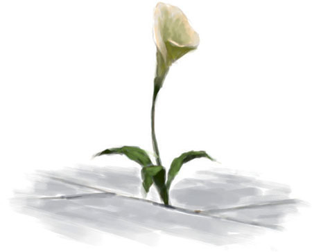 Иллюстрация к книге — Затерянный город [i_034.jpg]