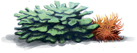 Иллюстрация к книге — Затерянный город [i_042.jpg]