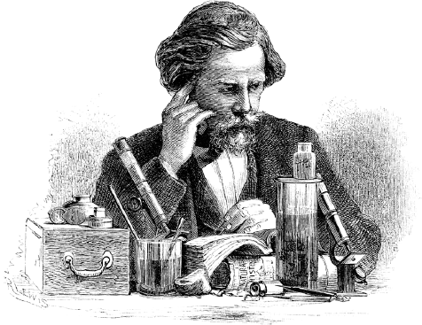 Иллюстрация к книге — Опровергая мифы о медицине. Вся правда о нашем организме [i_001.jpg]