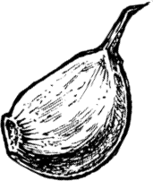 Иллюстрация к книге — Опровергая мифы о медицине. Вся правда о нашем организме [i_015.jpg]