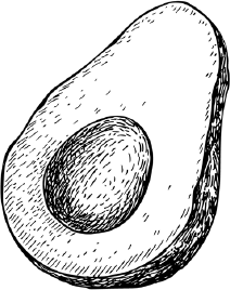 Иллюстрация к книге — Опровергая мифы о медицине. Вся правда о нашем организме [i_018.jpg]