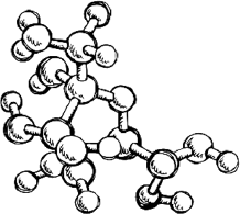 Иллюстрация к книге — Опровергая мифы о медицине. Вся правда о нашем организме [i_020.jpg]