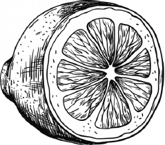 Иллюстрация к книге — Опровергая мифы о медицине. Вся правда о нашем организме [i_021.jpg]