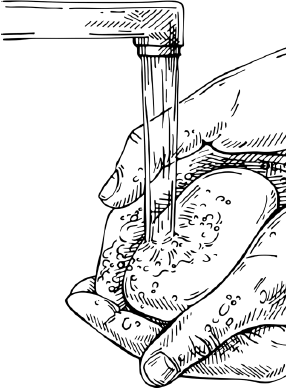 Иллюстрация к книге — Опровергая мифы о медицине. Вся правда о нашем организме [i_024.jpg]