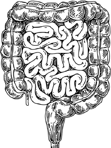 Иллюстрация к книге — Опровергая мифы о медицине. Вся правда о нашем организме [i_037.jpg]