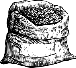 Иллюстрация к книге — Опровергая мифы о медицине. Вся правда о нашем организме [i_054.jpg]