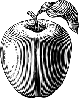 Иллюстрация к книге — Опровергая мифы о медицине. Вся правда о нашем организме [i_076.jpg]