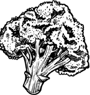 Иллюстрация к книге — Опровергая мифы о медицине. Вся правда о нашем организме [i_094.jpg]